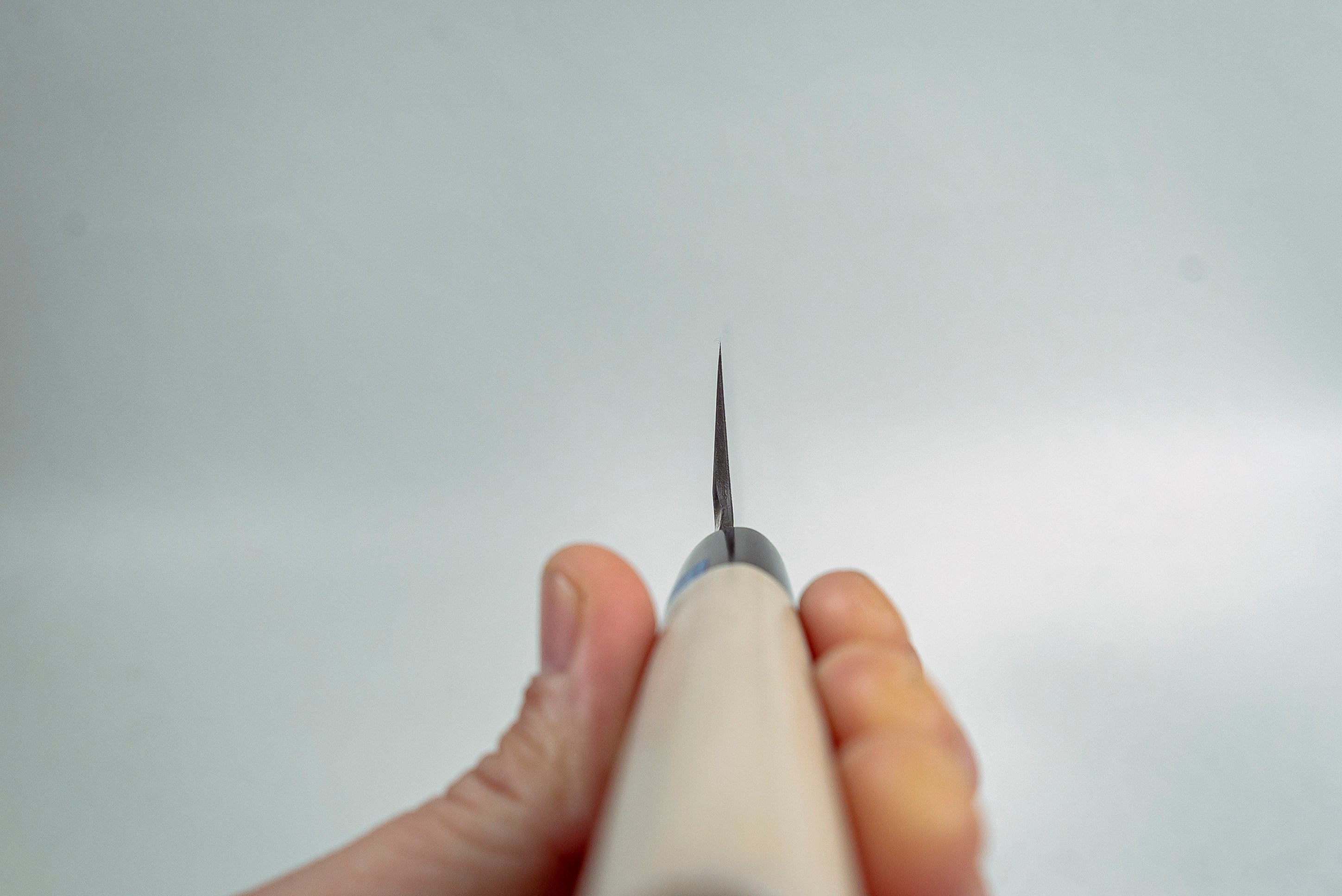 Sakai Takayuki INOX Usuba 180mm - Thecooksedge