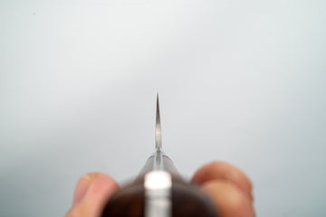 Takeshi Saji R2 Damascus Gyuto 210mm w/Ironwood Handle