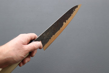 Fujiwara Denka no Hoto Gyuto 210mm - Thecooksedge
