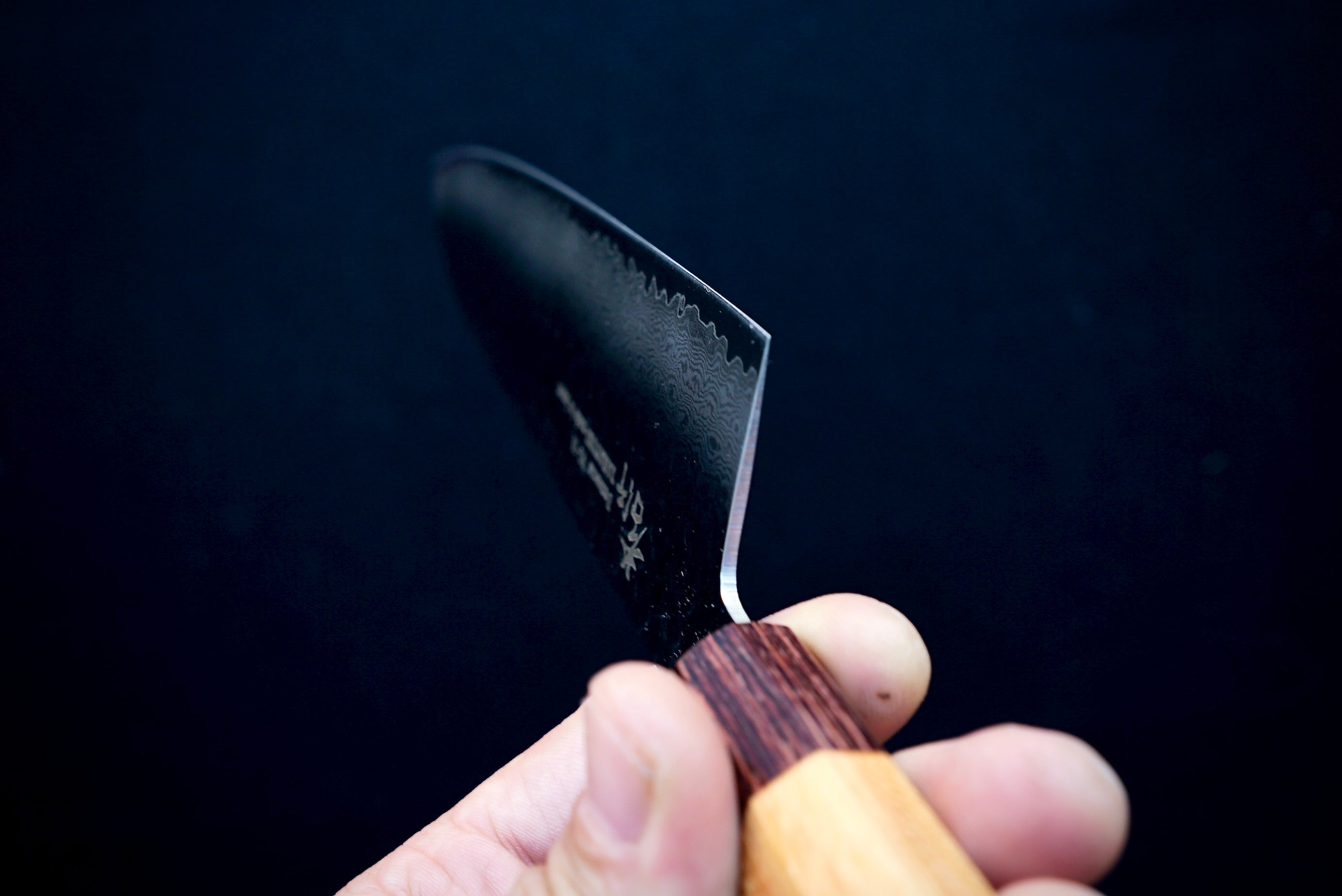 Sakai Takayuki 33 Layer Damascus Wa Gyuto 240mm - Thecooksedge
