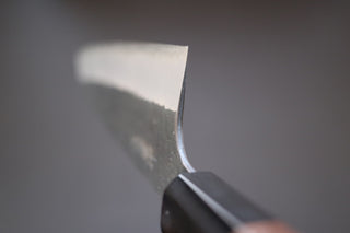 Nigara Hamono Kurouchi SG2 Kiritsuke 270mm - Thecooksedge