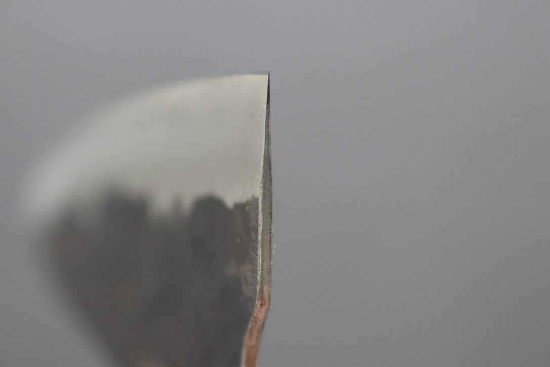 Fujiwara Denka no Hoto Gyuto 210mm - Thecooksedge