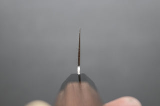 Sakai Takayuki Ginga Gyuto 240mm - Thecooksedge