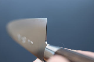 Sakai Kikumori SG2 Western Series Gyuto 180mm - Thecooksedge