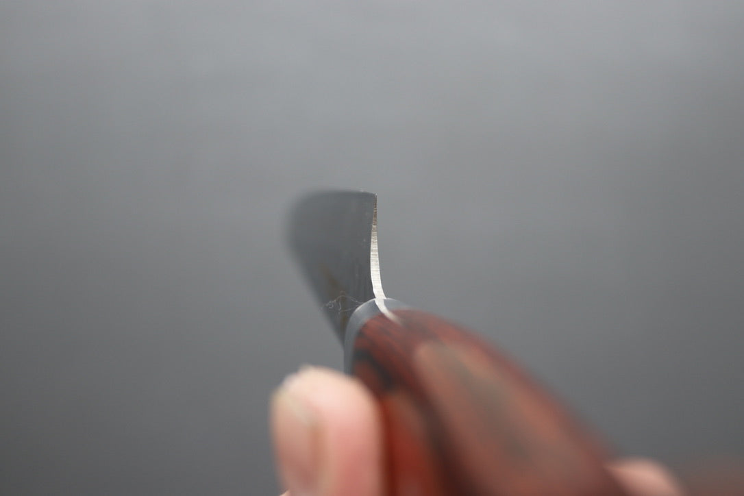 Sakai Takayuki 33 Layer Damascus Sujihiki 240mm - Thecooksedge