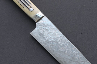 Takeshi Saji R2 Damascus Mirror Finished Gyuto 210mm - Thecooksedge