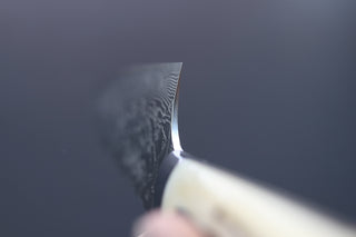 Takeshi Saji R2 Damascus Mirror Finished Gyuto 210mm - Thecooksedge