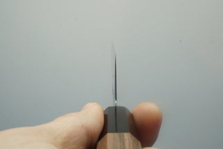 Hatsukokoro Sunaarashi Kurozome Damascus Gyuto 210mm - Thecooksedge