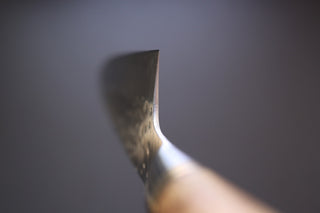 Takeshi Saji R2 Quince Handle Gyuto 210mm - Thecooksedge