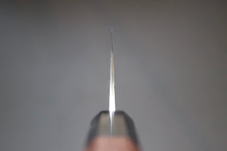 Yu Kurosaki Fujin VG10 gyuto 210mm - Thecooksedge