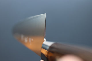 Sakai Kikumori SG2 Western Series Gyuto 210mm - Thecooksedge