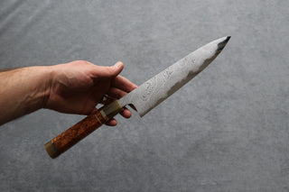 Hatsukokoro Hyomon Damascus Gyuto 210mm - Thecooksedge