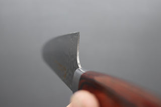 Sakai Takayuki 33 Layer Damascus Gyuto 240mm - Thecooksedge