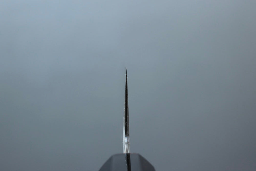 Tetsujin Hamono Aogami #2 Kiritsuke Gyuto 210mm - Thecooksedge