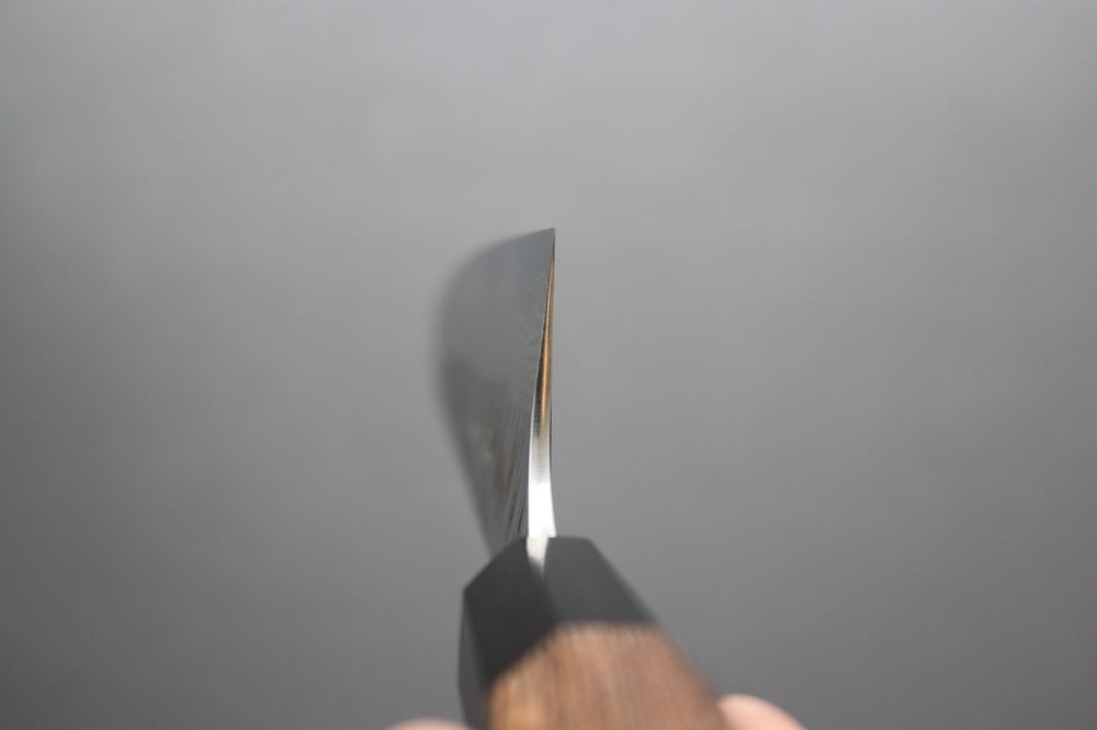 Yu Kurosaki Fujin VG10 Gyuto 240mm - Thecooksedge