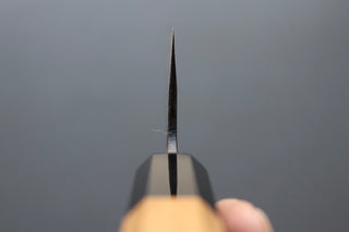 Hatsukokoro Kumokage Gyuto 210mm - Thecooksedge