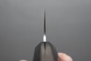 Hatsukokoro Komorebi Blue #2 Gyuto 210mm - Thecooksedge