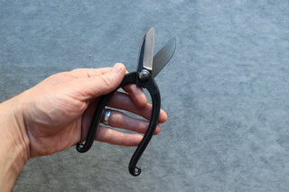 Japanese Bonsai Pruning Shears 165mm - Thecooksedge