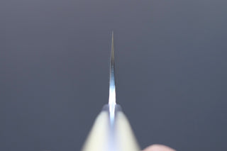 Takeshi Saji R2 Damascus Mirror Finished Gyuto 210mm - Thecooksedge