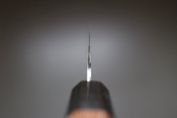 Yu Kurosaki Senko R2 Sujihiki 270mm - Thecooksedge