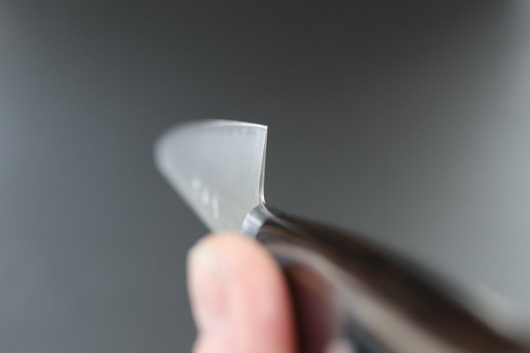 Sakai Kikumori SG2 Western Series Sujihiki 240mm - Thecooksedge
