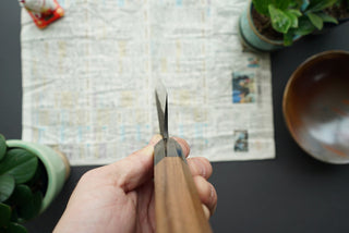 Shinkiro AS Damascus Kurouchi Tsuchime Gyuto 240mm - Thecooksedge