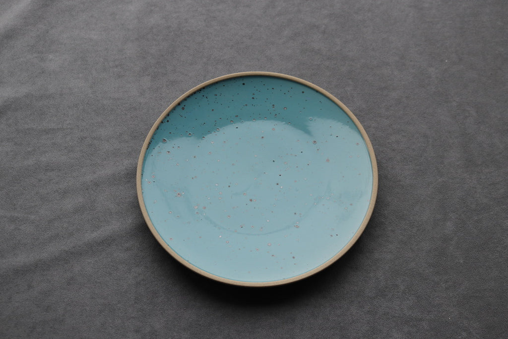 Robin Egg 10” Plate - Thecooksedge