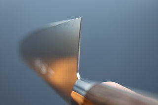 Sakai Kikumori SG2 Western Series Gyuto 240mm - Thecooksedge