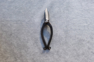 Japanese Bonsai Pruning Shears 165mm - Thecooksedge