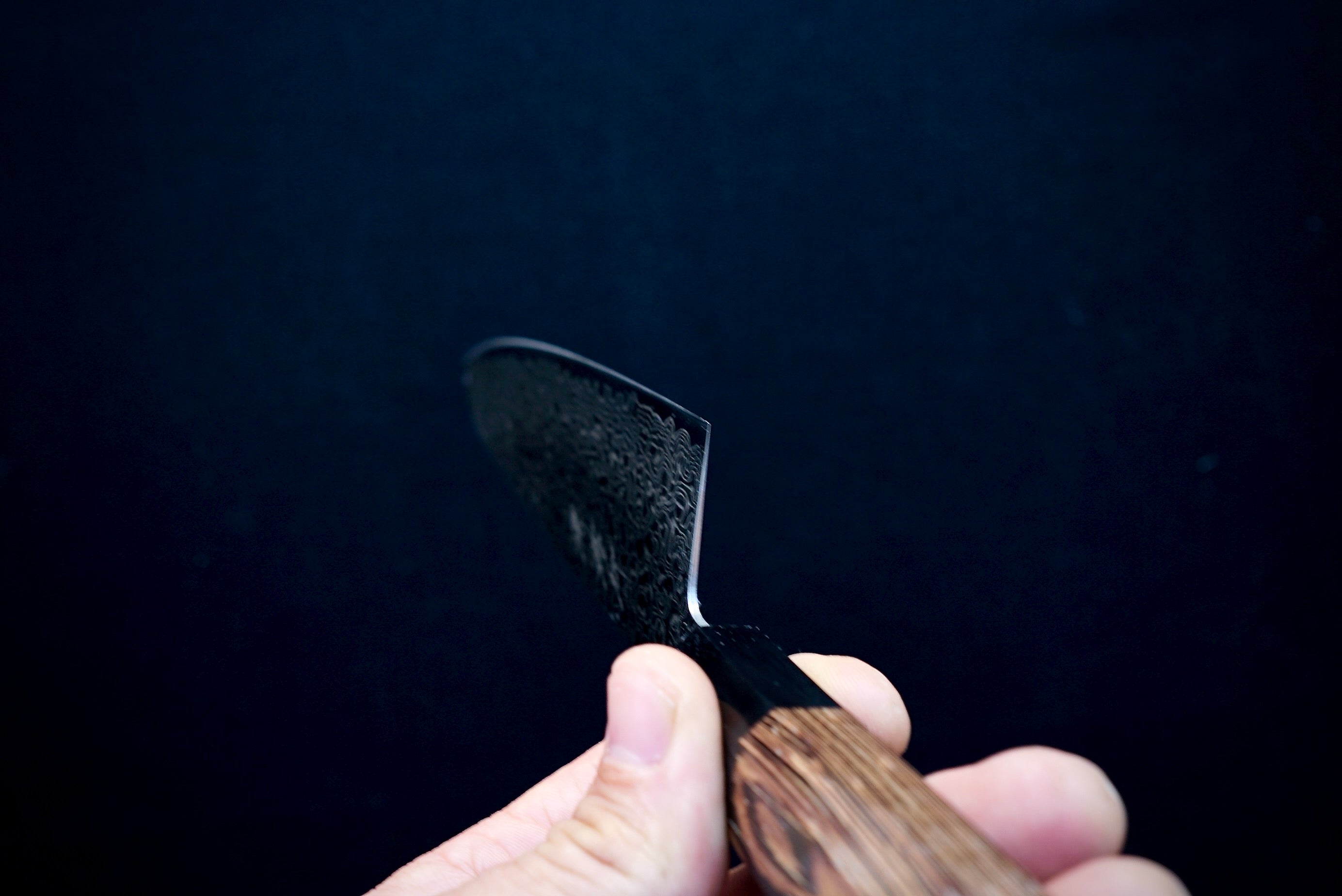 Sakai Takayuki Ginga Gyuto 210mm - Thecooksedge
