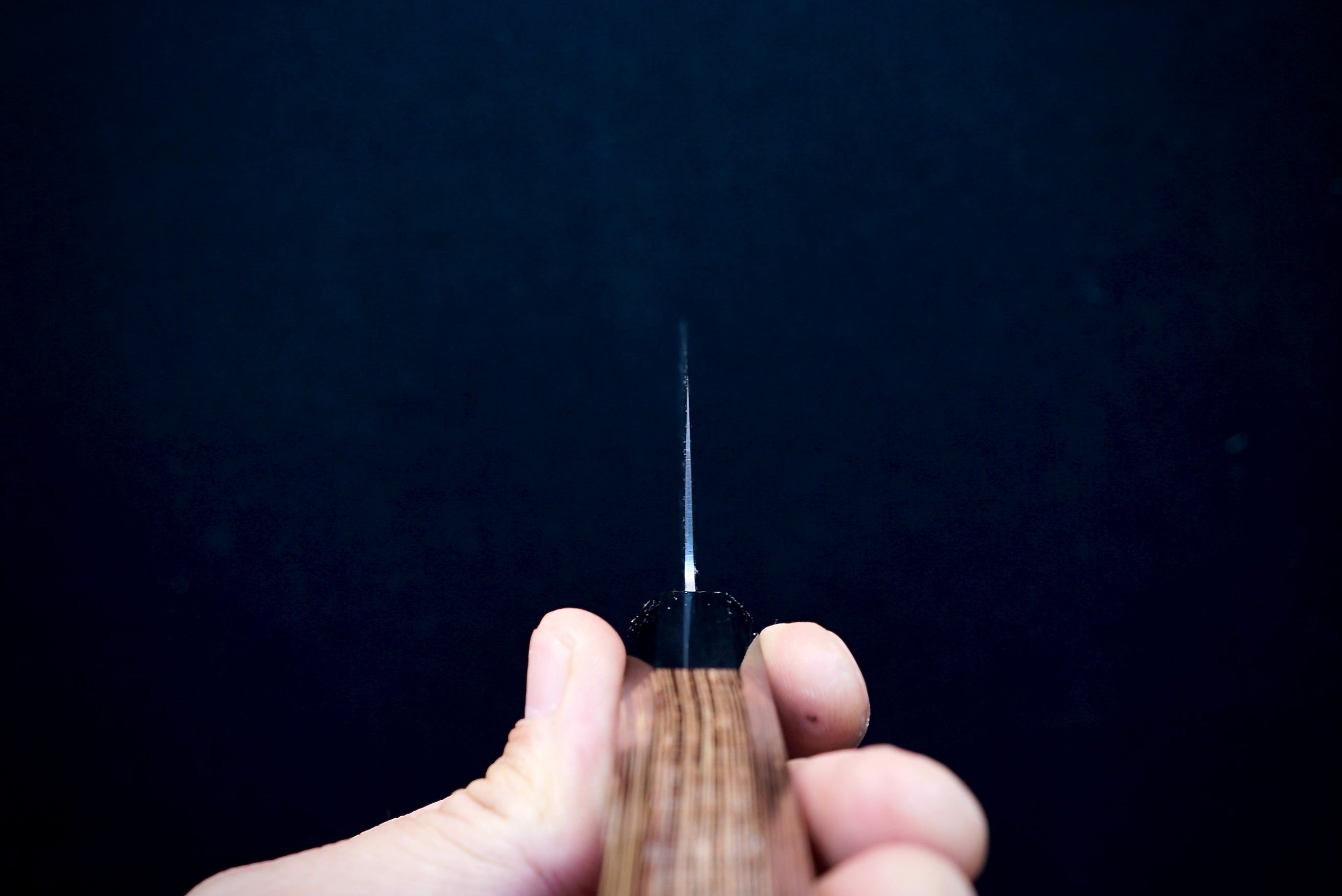Sakai Takayuki Ginga Gyuto 210mm - Thecooksedge