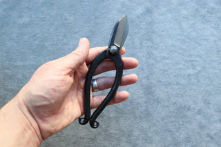 Japanese Bonsai Pruning Shears 165mm - Thecooksedge