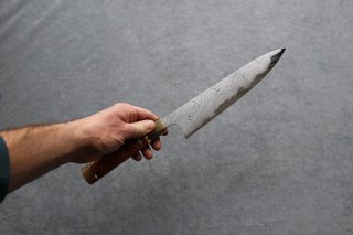 Hatsukokoro Hyomon Damascus Gyuto 210mm - Thecooksedge