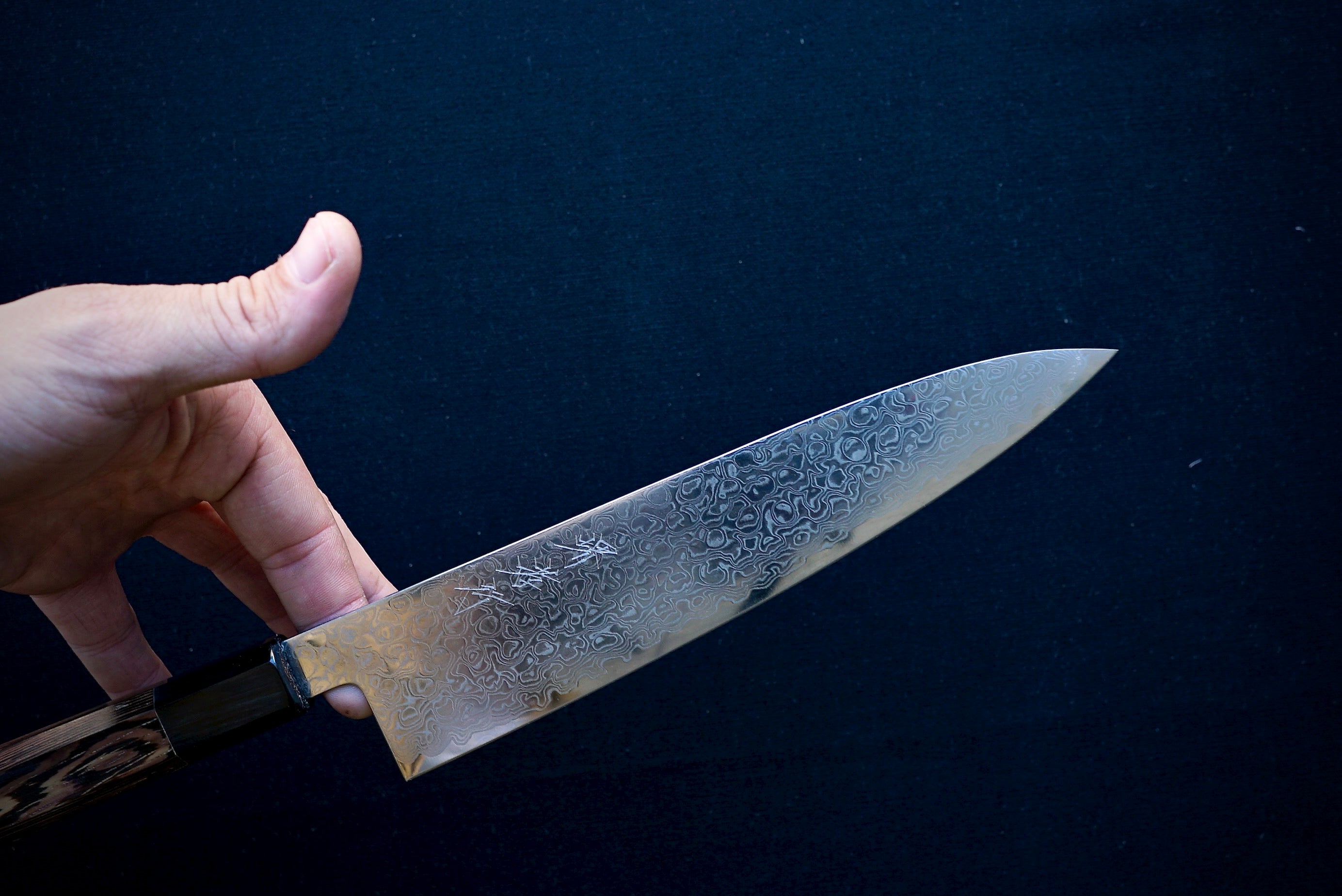 Sakai Takayuki Ginga Gyuto 210mm - Thecooksedge