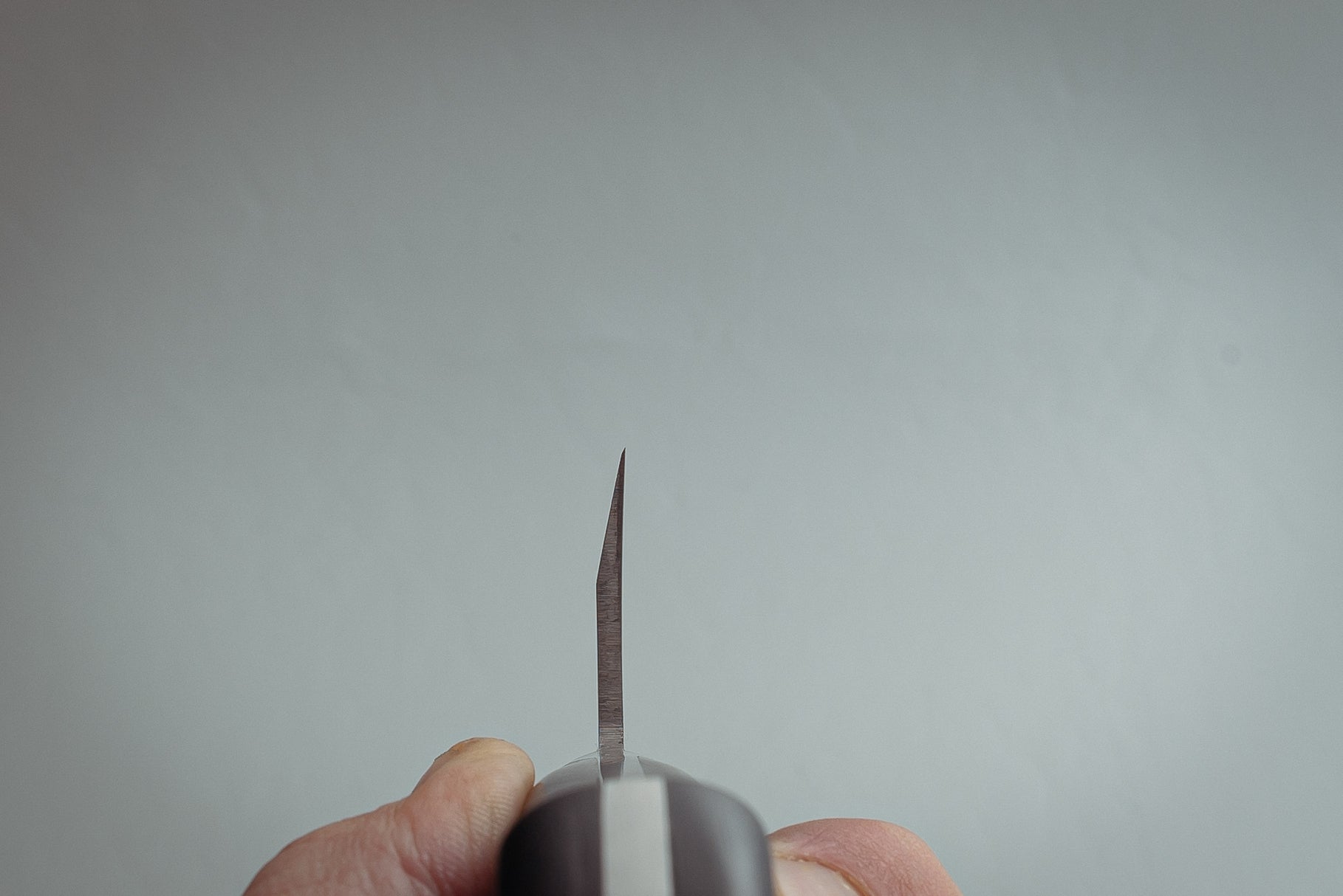 Sakai Takayuki INOX Deba 165mm - Thecooksedge