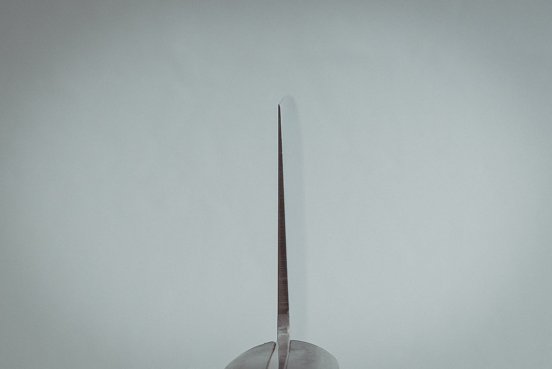 Sakai Takayuki INOX Nakiri 180mm - Thecooksedge