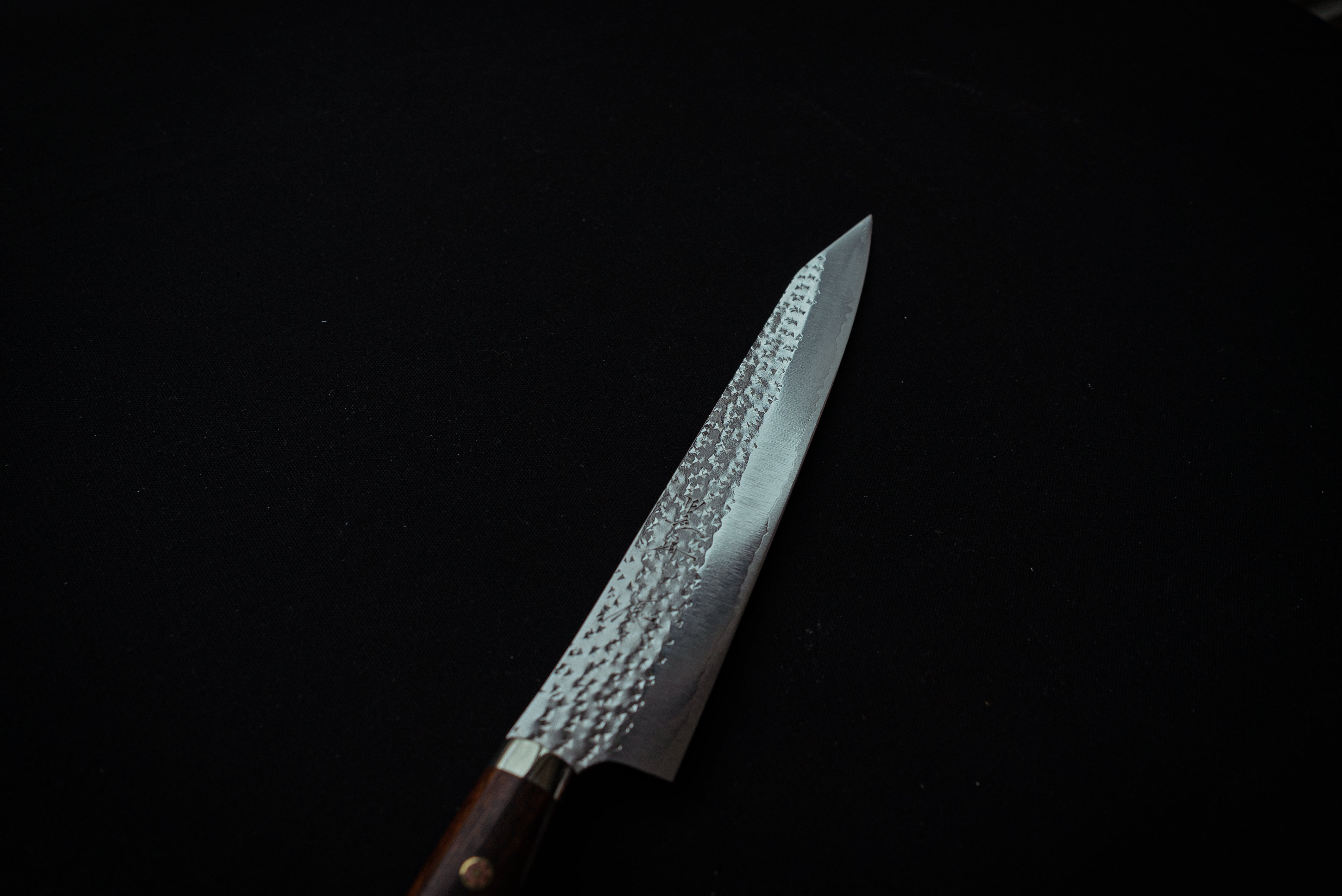 Yu Kurosaki SG2 Senko Sujihiki 270mm Western Ironwood w/Teak Saya - Thecooksedge