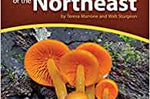 Mushrooms of the Northeast - Thecooksedge
