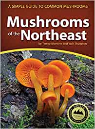 Opinel Mushroom Knife & Mushrooms Of The Northeast Guide Book - Thecooksedge